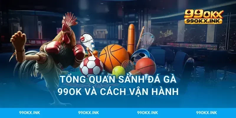 Tổng quan sảnh đá gà 99OK và cách vận hành