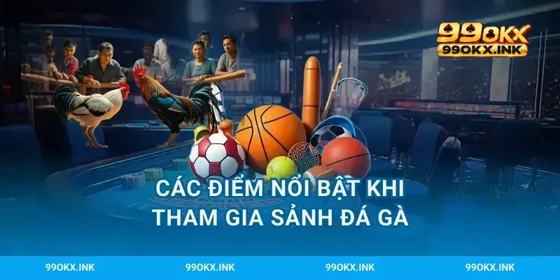 Các điểm nổi bật khi tham gia sảnh đá gà