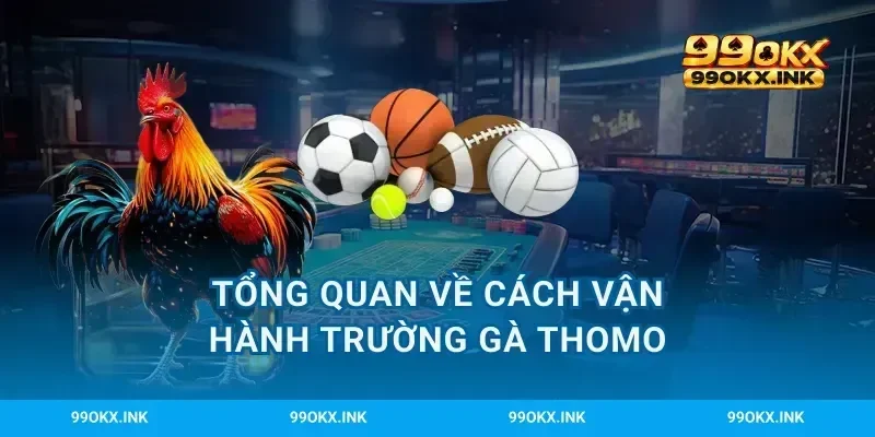 Tổng quan về cách vận hành trường gà Thomo