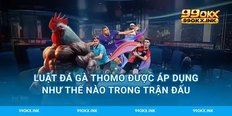 Luật đá gà Thomo được áp dụng như thế nào trong trận đấu